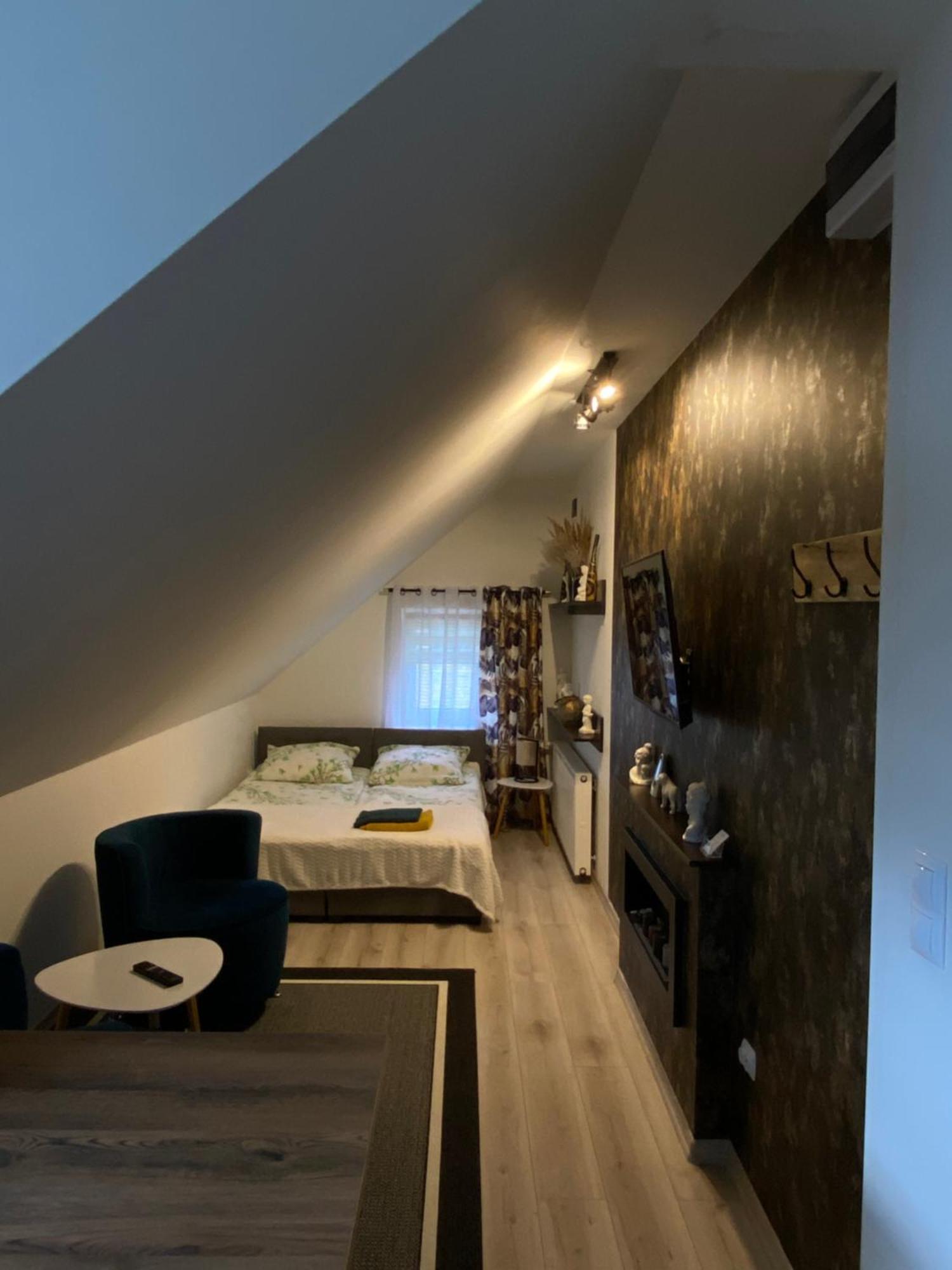 Jezow Sudecki Apartamenty Lesna Osiem מראה חיצוני תמונה